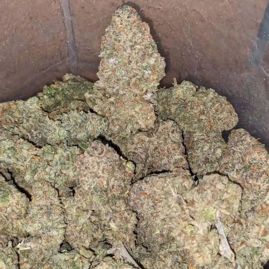 Jokerz - Image 5