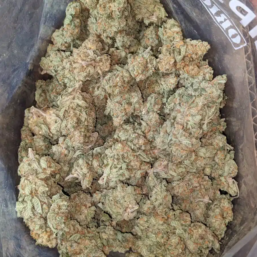 Alternative view of Juicy J