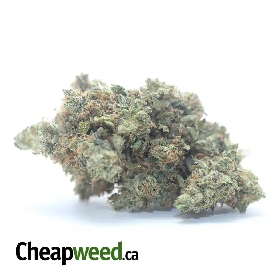 King Bubba Kush