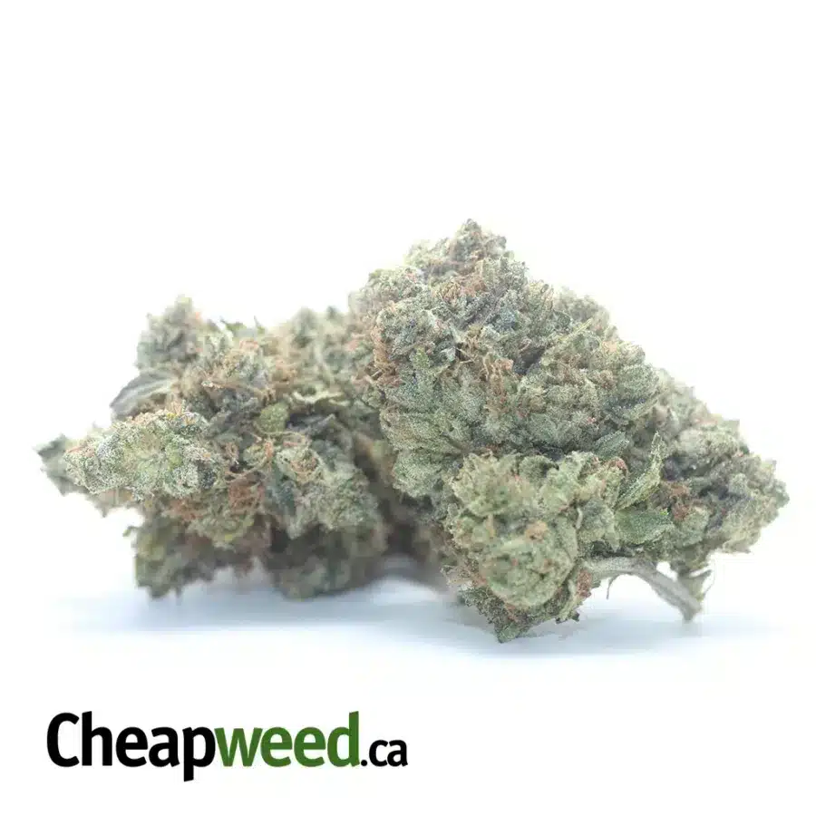 Alternative view of King Bubba Kush