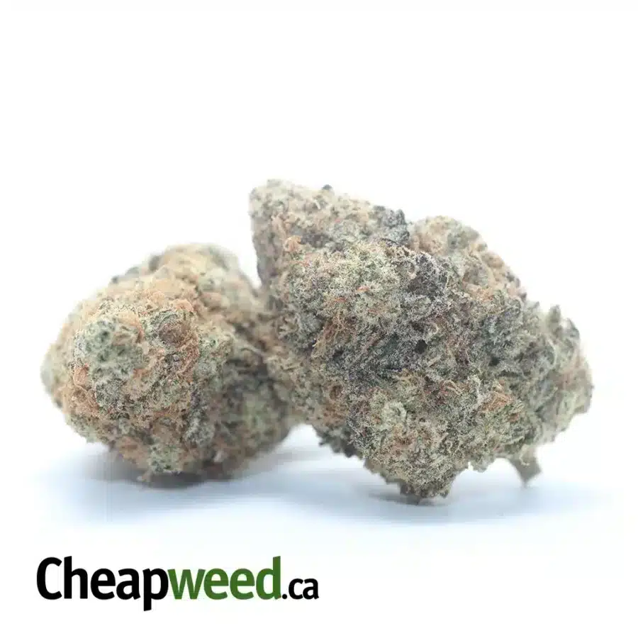 Alternative view of MAC10 x GMO Cookies