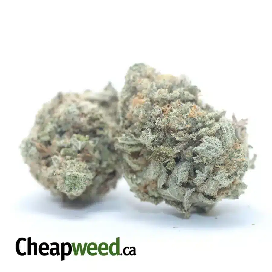 Alternative view of Miracle Alien Cookies