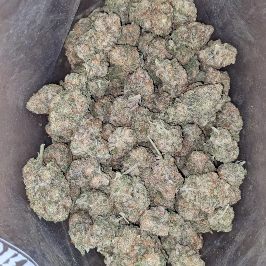 MAC10 x GMO Cookies