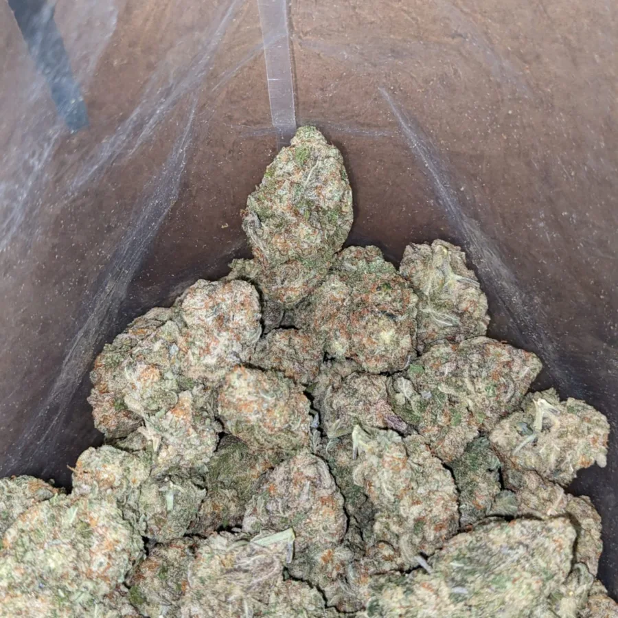 MAC10 x GMO Cookies - Image 7
