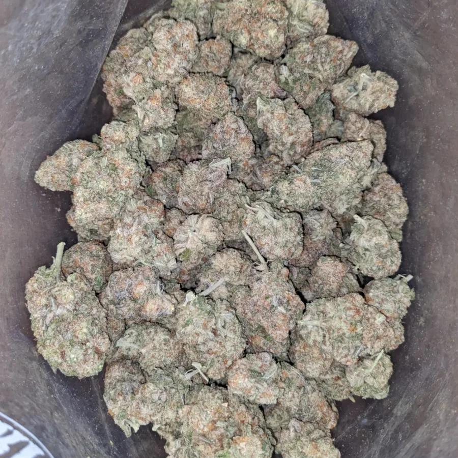 MAC10 x GMO Cookies - Image 5