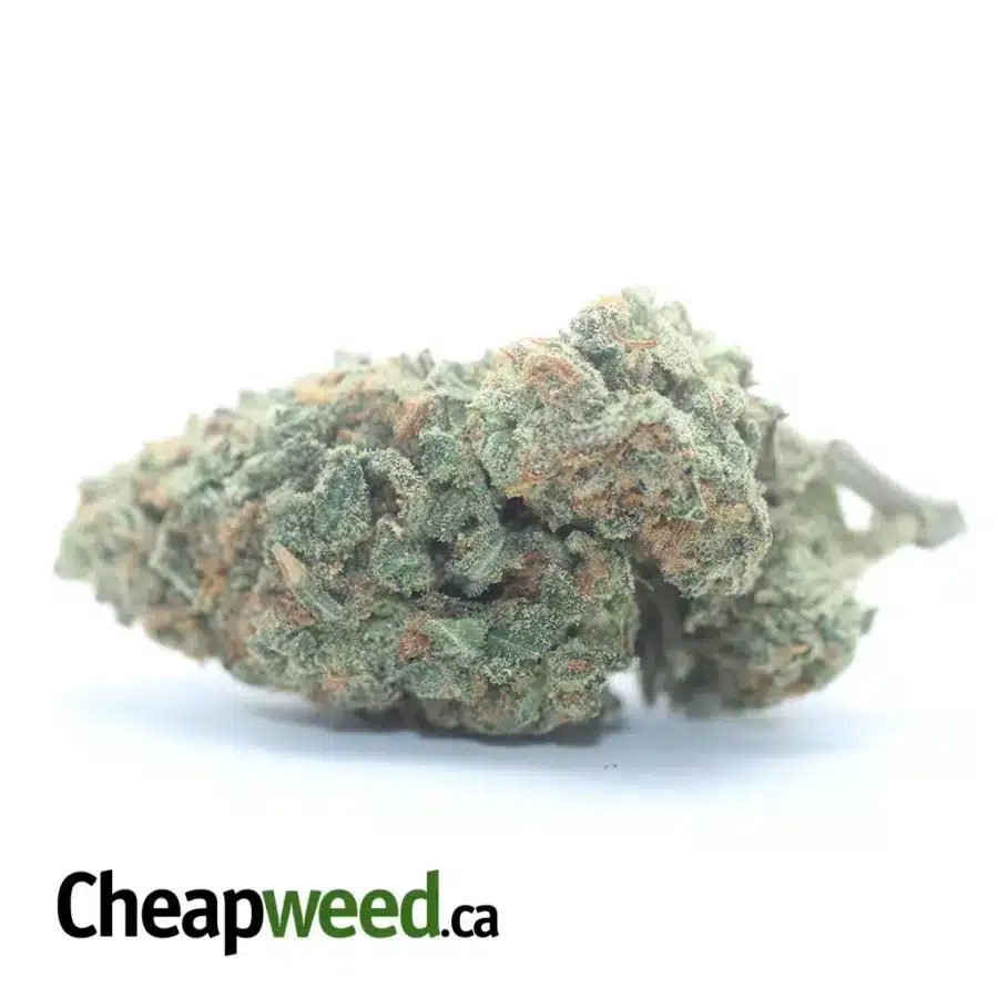 Nuken