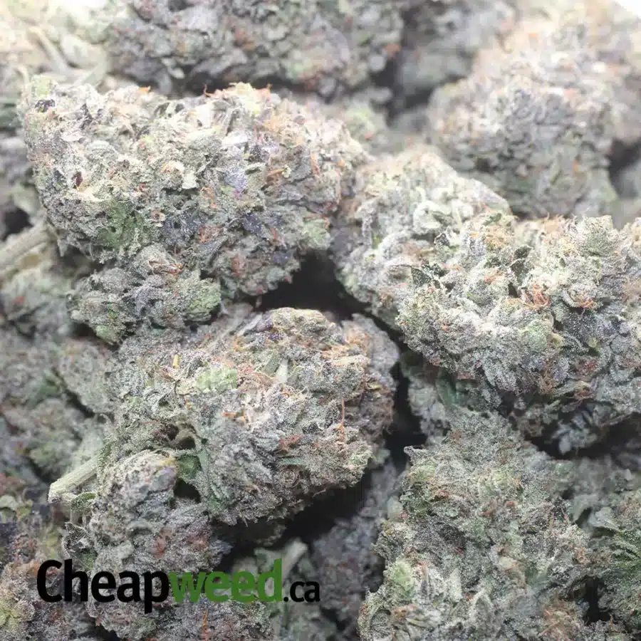 Obama Kush AAAA - Image 3