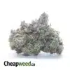 Obama Kush AAAA