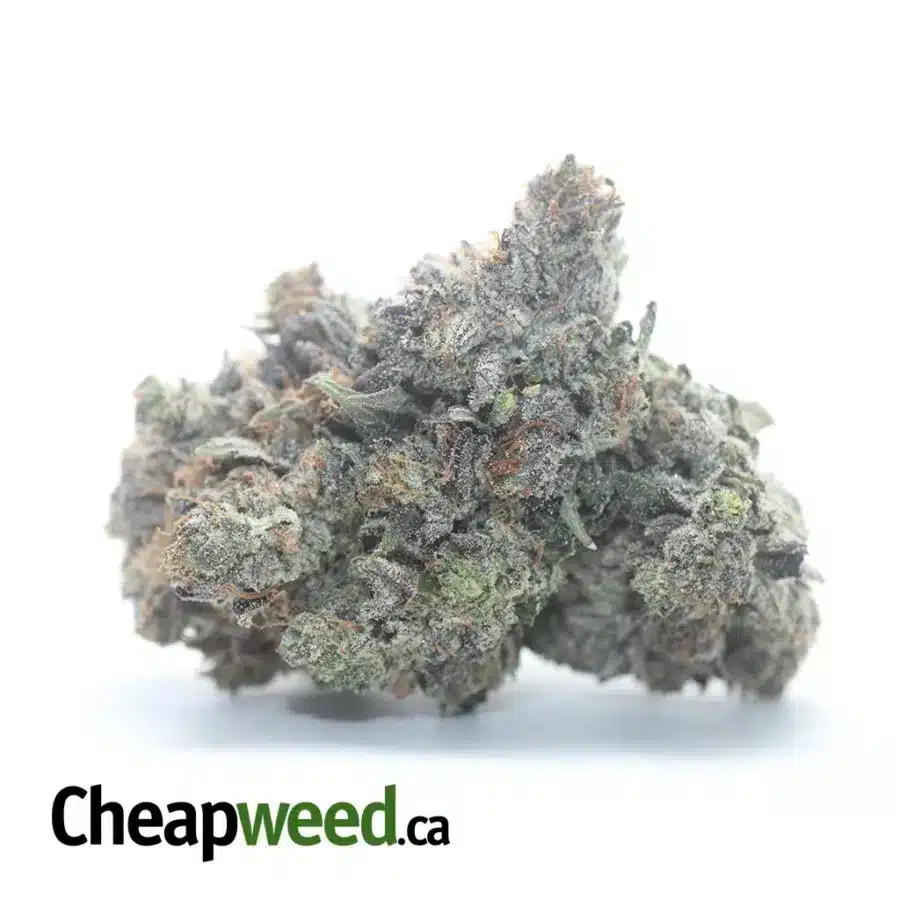 Obama Kush AAAA