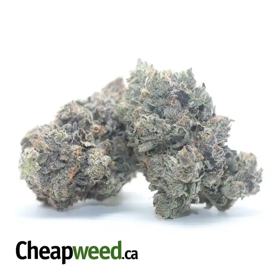 Alternative view of Obama Kush AAAA