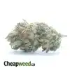 $ 47 Oz - Peanut Butter Breath