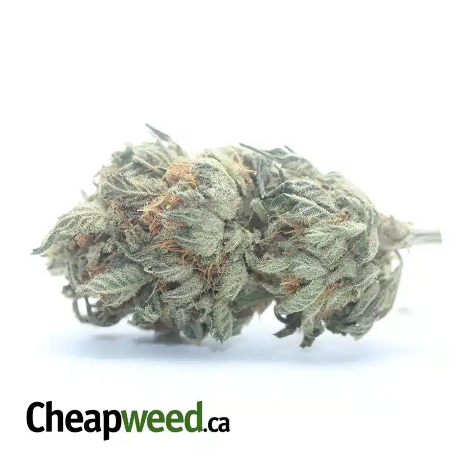 Peanut Butter Breath