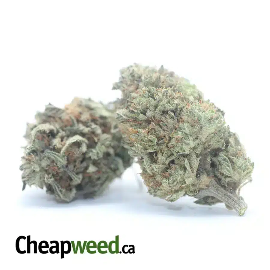Alternative view of Peanut Butter Breath