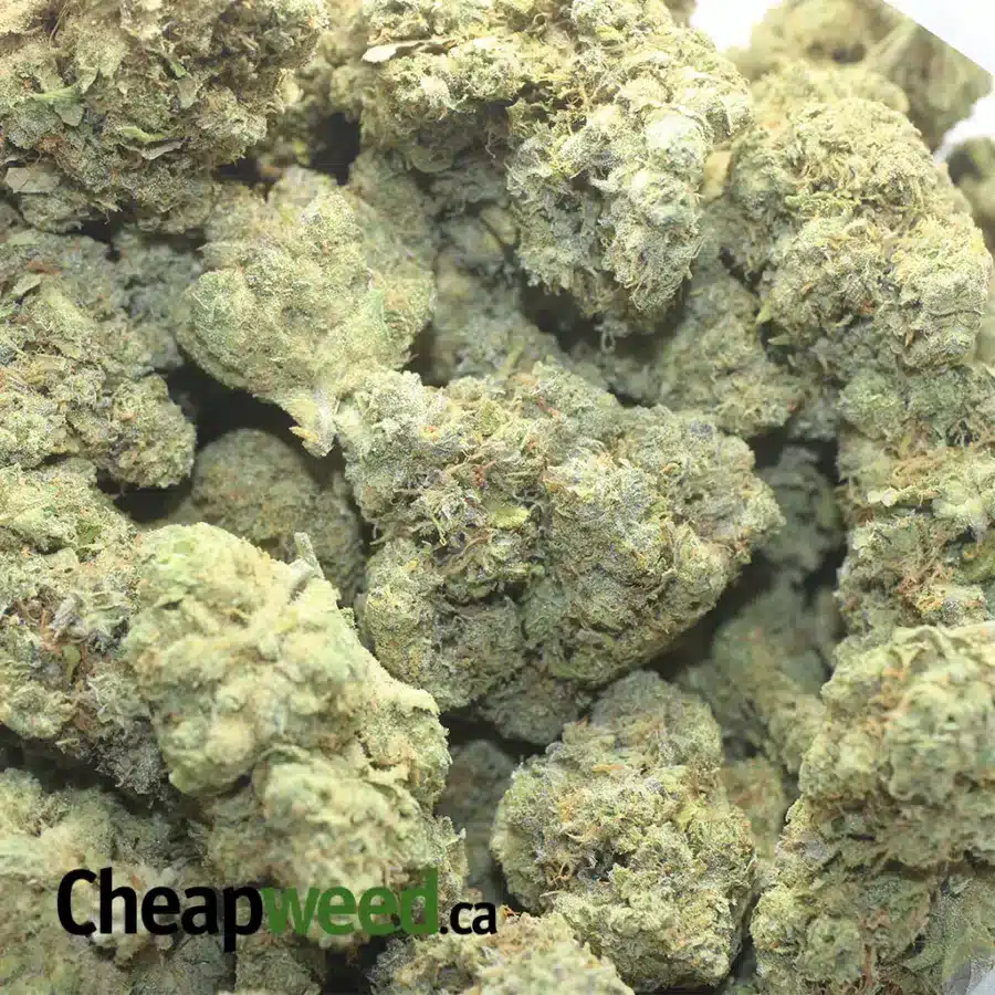 PINEAPPLE SKUNK FLAT 1 I $60oz Pineapple Skunk