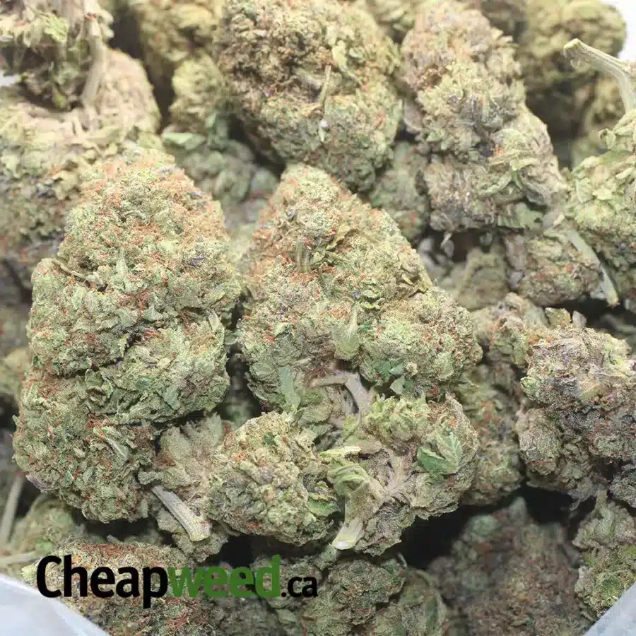 Pink Gas - Image 3