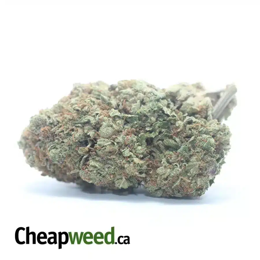 Pink Gas