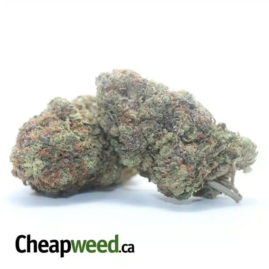 Alternative view of Pink Gas