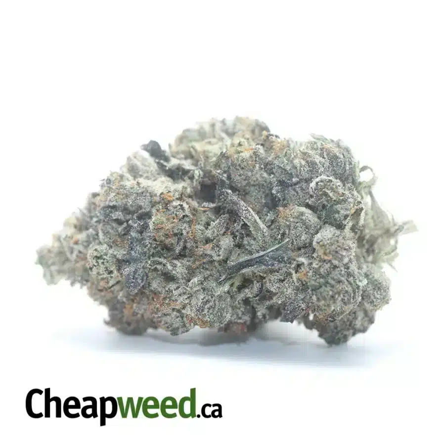 Pink Ghost OG