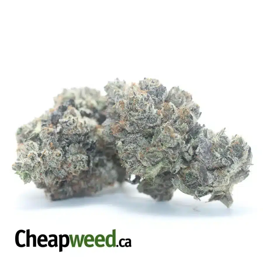 Alternative view of Pink Ghost OG