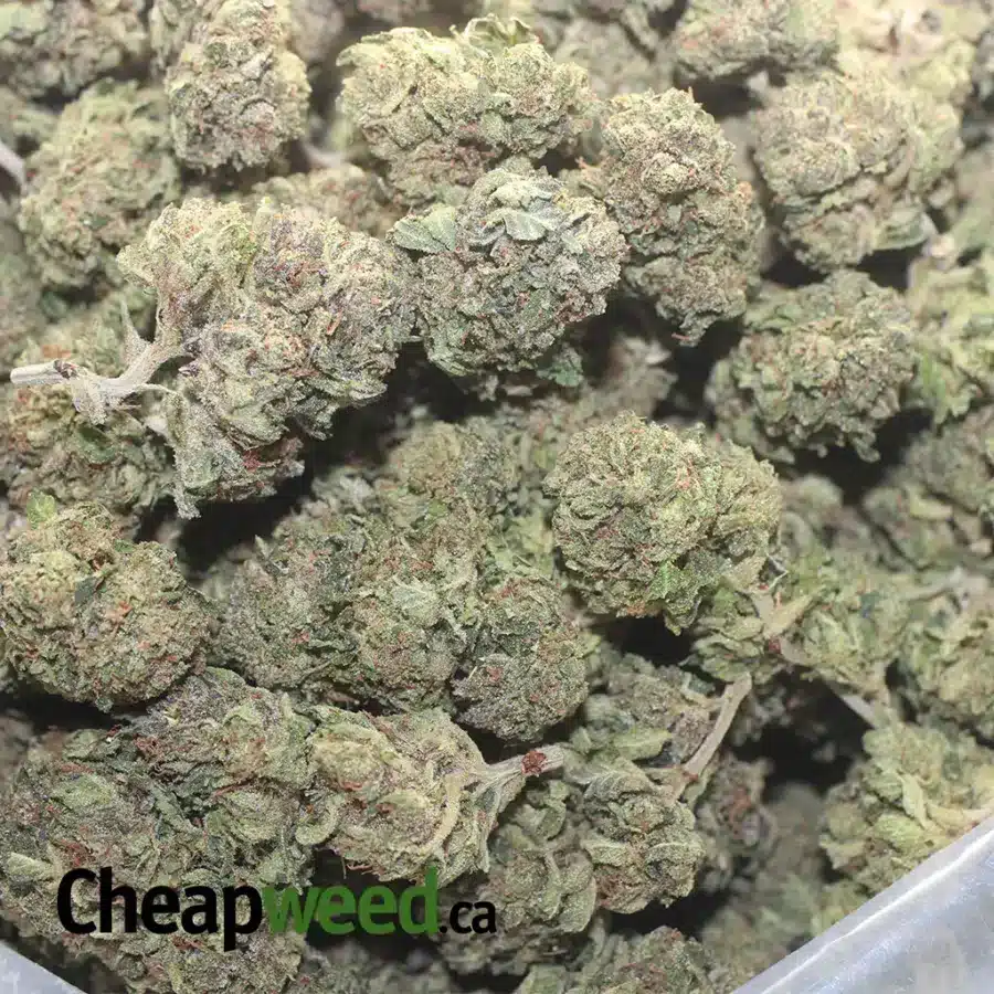 Pink Kush - Image 3
