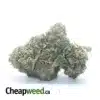 Pink Kush
