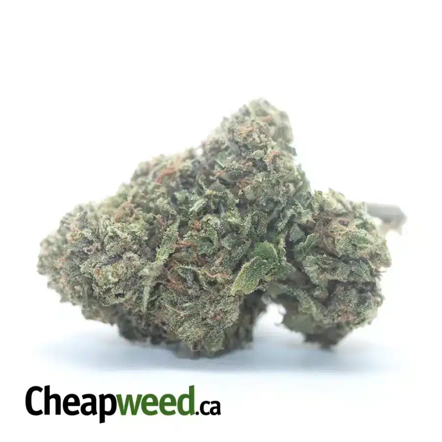 Pink Kush