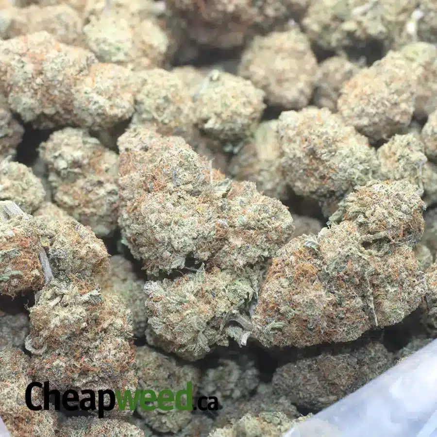 Purple Acai Berry - Image 3