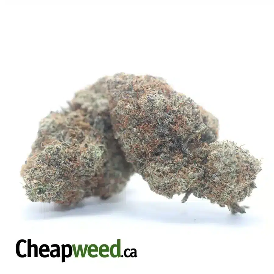 Alternative view of Purple Acai Berry