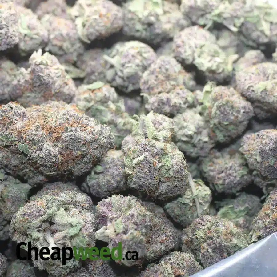Purple Drank - Image 3