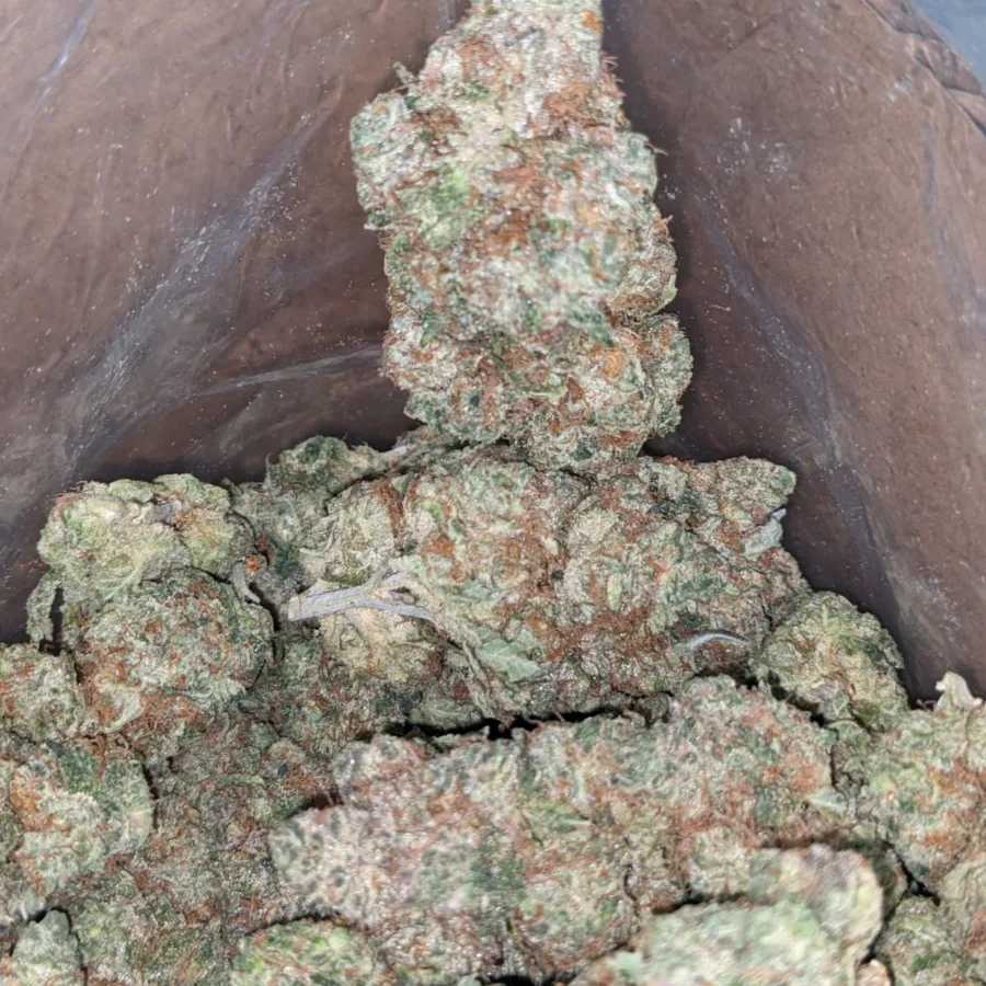 Peanut Butter Breath - Image 3