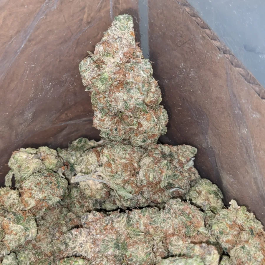 Peanut Butter Breath - Image 4