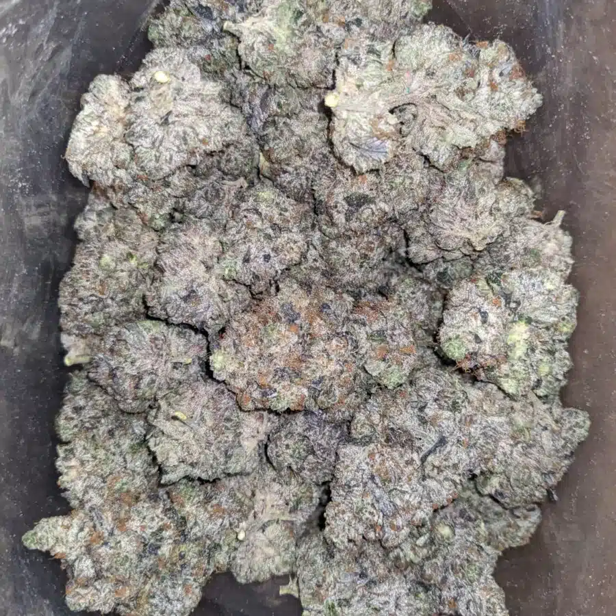Pink Ghost OG - Image 5