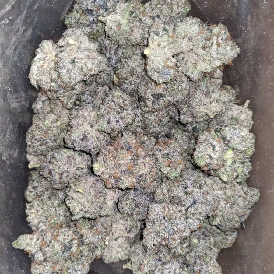 Pink Ghost OG
