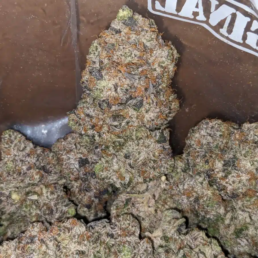 Pink Ghost OG - Image 3