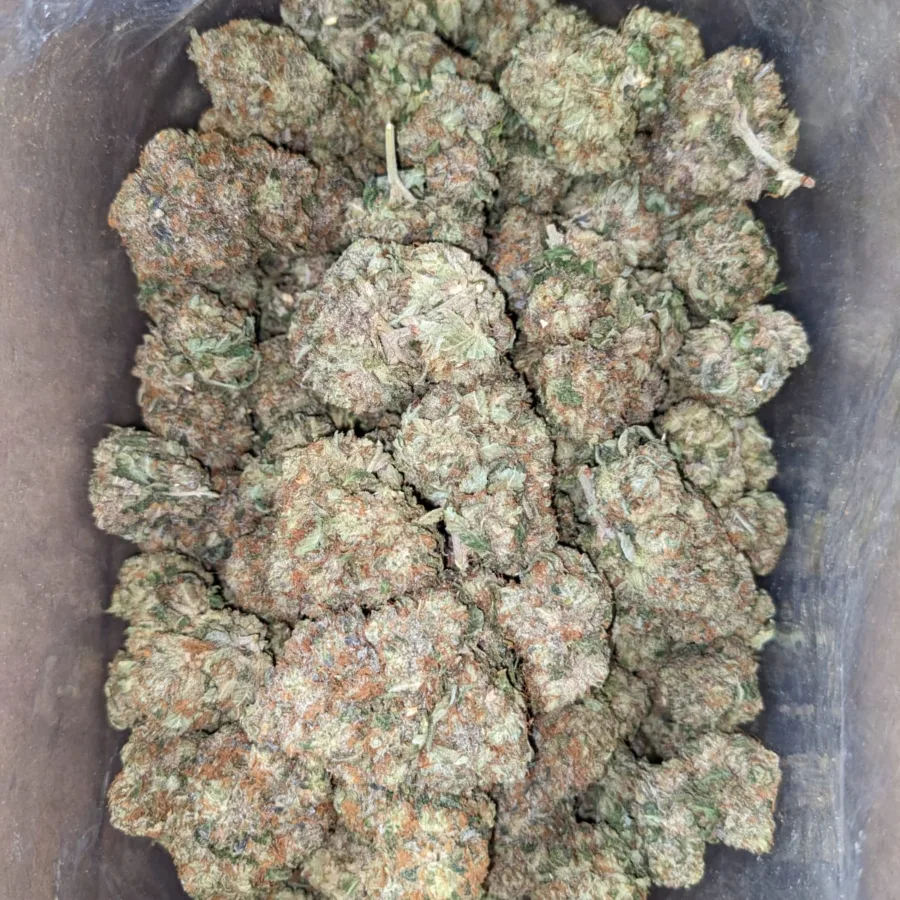 Pink OG - Image 4