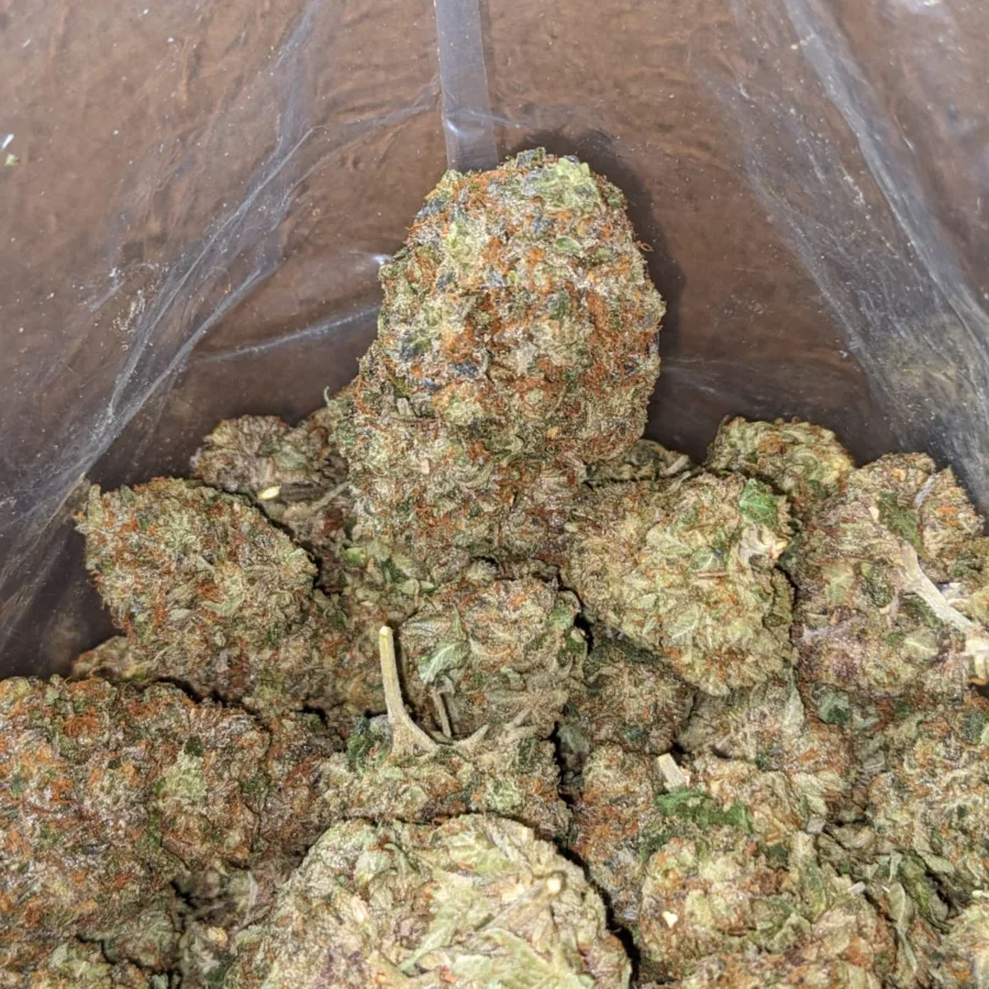 Pink OG - Image 6
