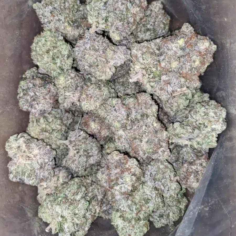 Platinum Comatose - Image 5
