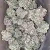 Platinum Comatose