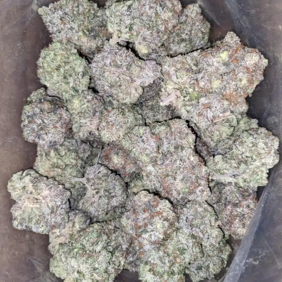 Platinum Comatose