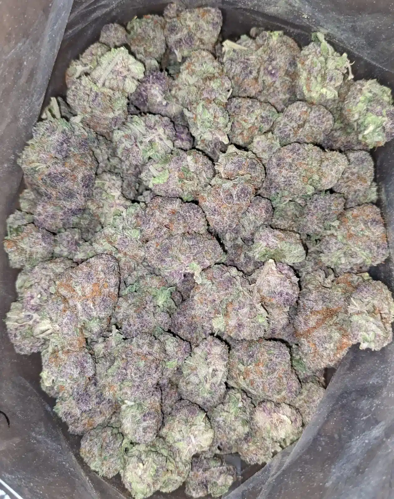 Purple Drank