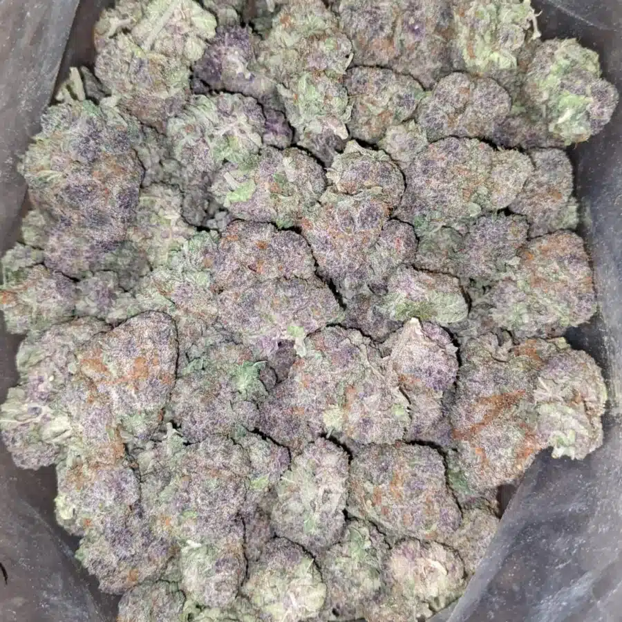 Alternative view of Purple Drank