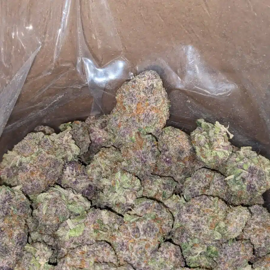 Purple Drank 3 I Purple Drank