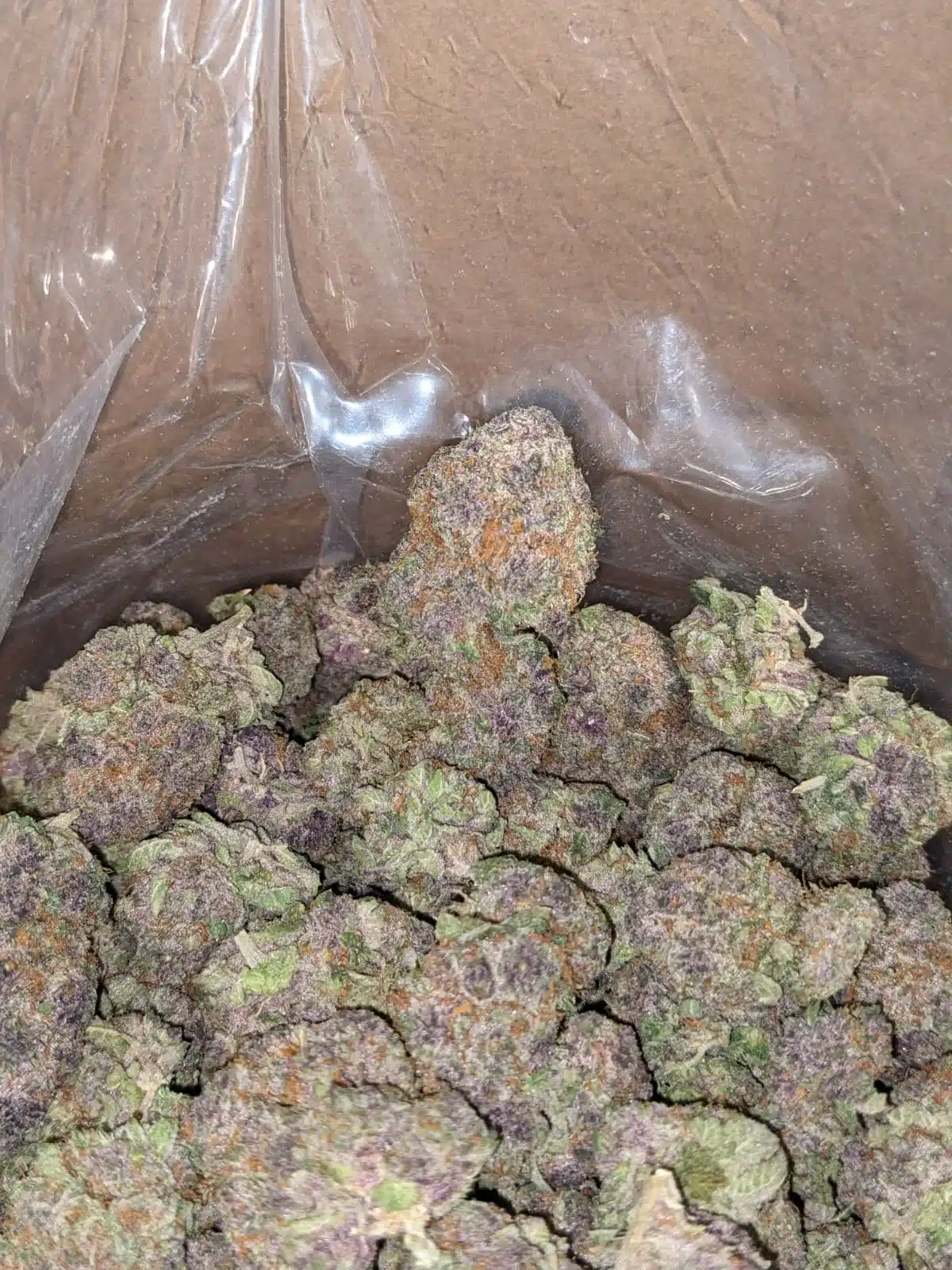 Purple Drank - Image 5