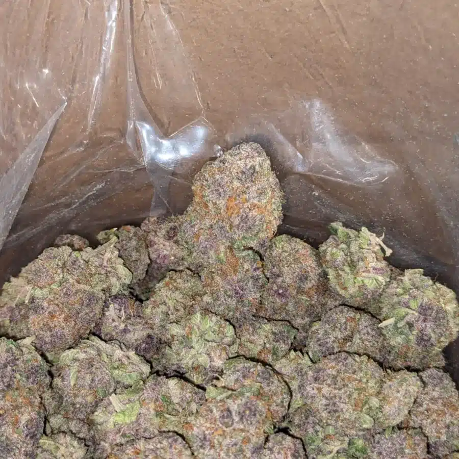 Purple Drank 4 I Purple Drank