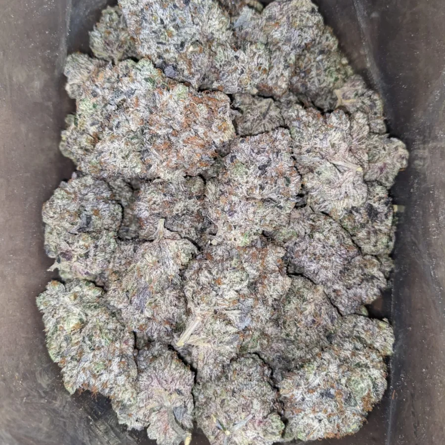 Pussy Pink