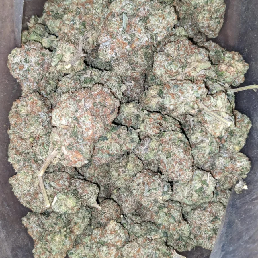 Alternative view of Rock Tuna