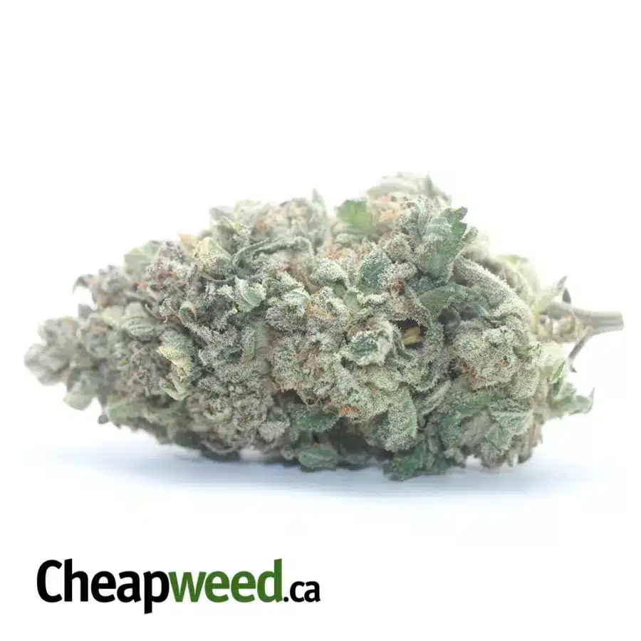 Sticky Icky