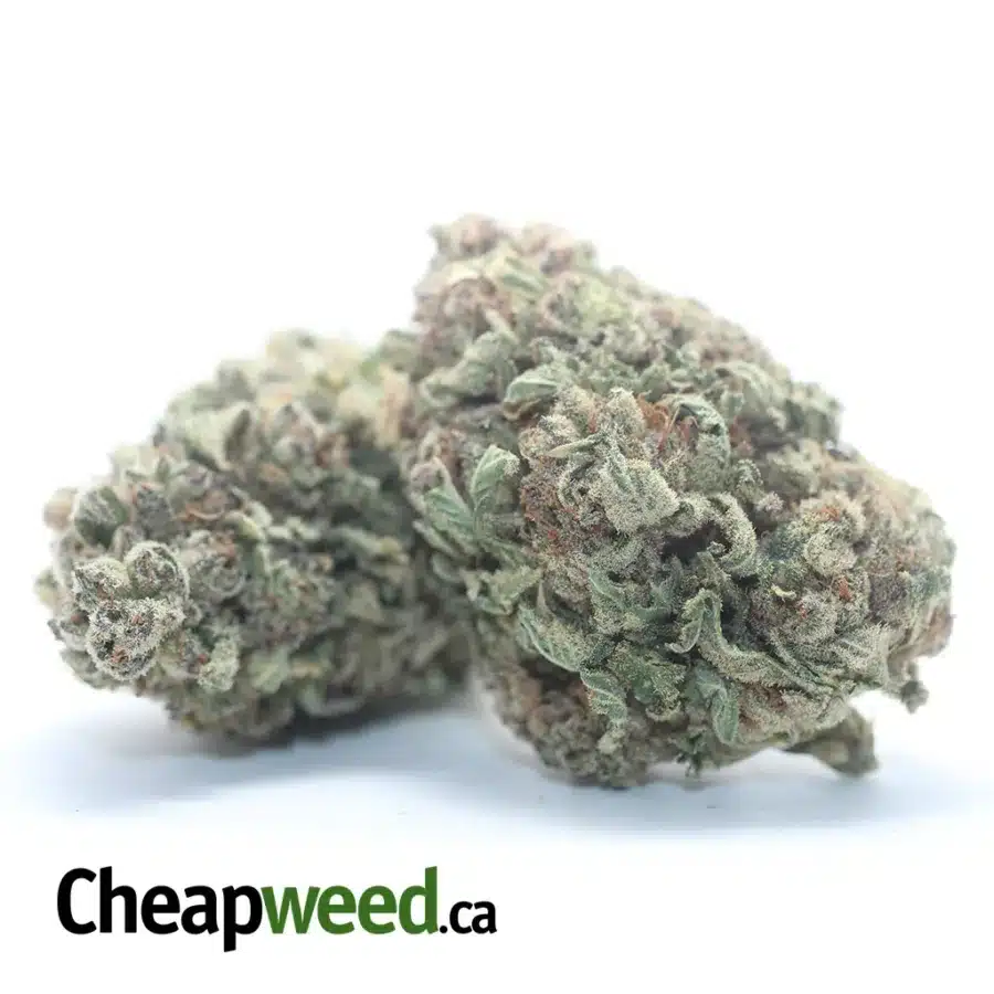 Alternative view of Sticky Icky