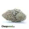 $47 Oz - Sugar Cookies