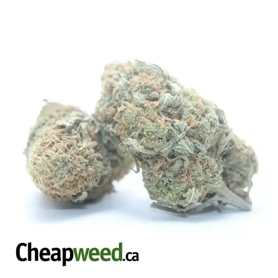 Alternative view of $47 Oz - Sugar Cookies